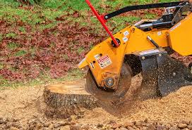 Best Utility Line Clearance  in Sage, CA