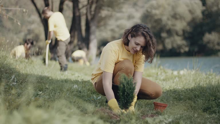 Best Lawn Drainage Solutions  in Sage, CA