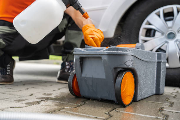 Best Tree Maintenance Programs  in Sage, CA